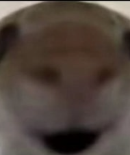 一个新想法