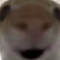 073